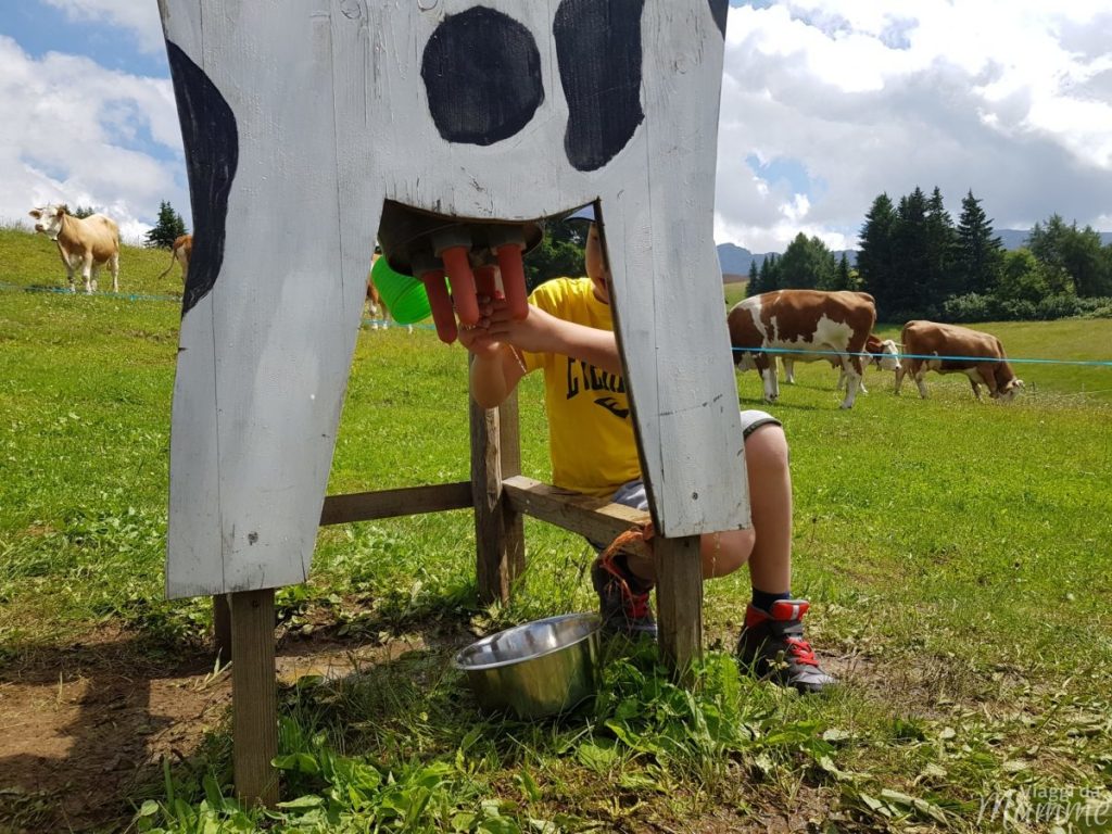 Alpe di Siusi estate: una giornata per malghe con bambini -"contadino" Andrea-